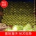 新品上市，扁包菜2～3公斤，量大