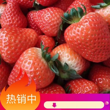 临沂艳丽草莓草莓大量上市产地直供,现货批发,质量优