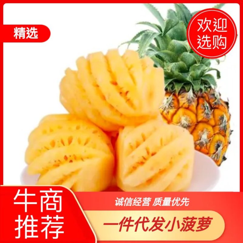 【去皮小菠萝】厂家直发！