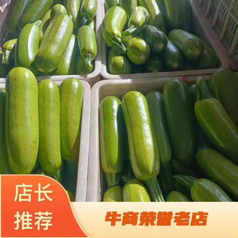 【精】河南焦西葫芦对接电商市场超市量大从优欢迎咨询