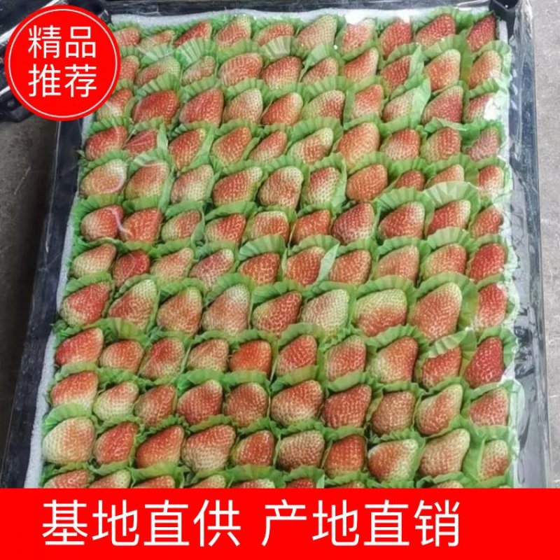 【精品】价格每日随行就市，一手货源夏季蒙特瑞草莓品质保证