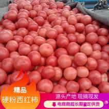 精品硬粉西红柿，质量好，价格优，欢迎采购