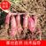 【基地直发】安徽商薯19红薯种，产量高，大量上市中