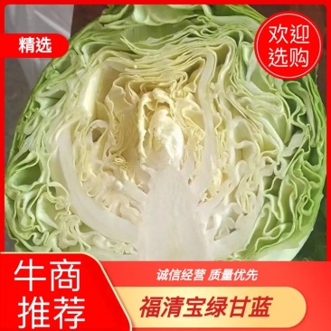 【福建莆田】福清宝绿甘蓝30亩现货流星包