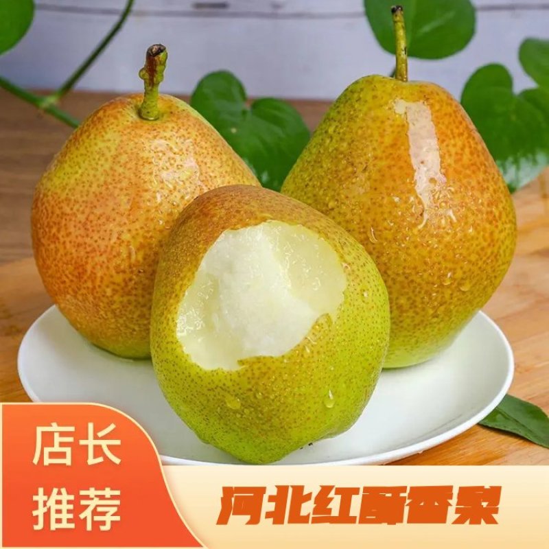 红香酥梨一手货源，量大从优欢迎选购可视频验货