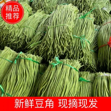【广东徐闻】长豆角，质量保证，诚信经营，新鲜采摘。
