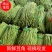 【广东徐闻】长豆角，质量保证，诚信经营，新鲜采摘。