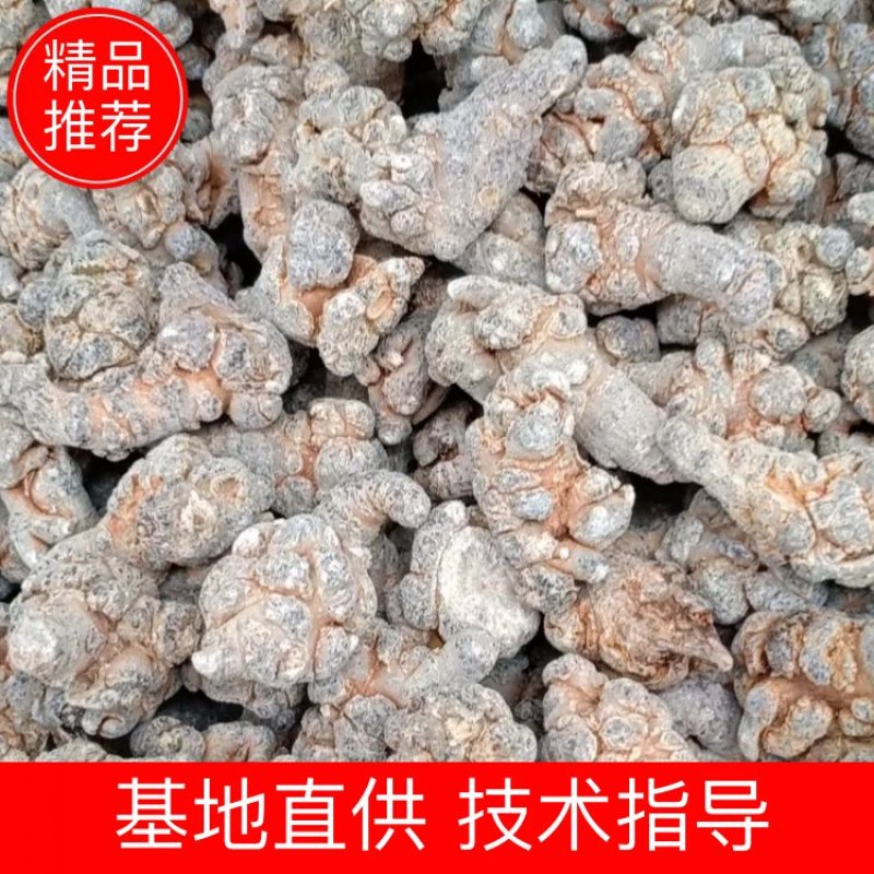 精品文山三七粉，（半斤装）质量保证（下单包邮）