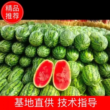 精品绿爽，货源充足，糖度高且耐运输，保质保量，