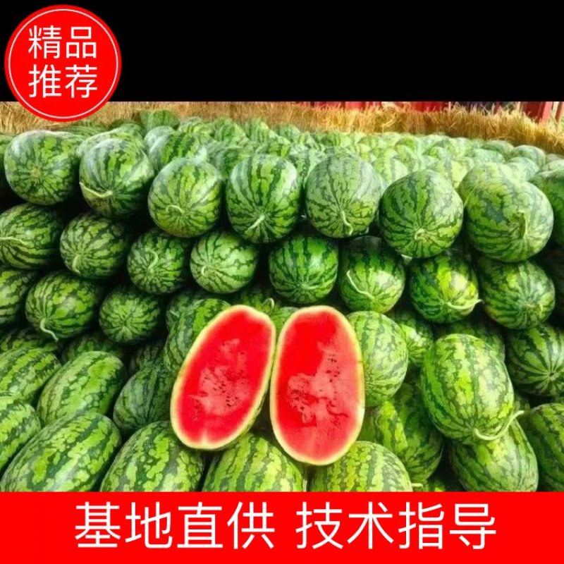 精品绿爽，货源充足，糖度高且耐运输，保质保量，