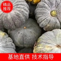 赖可丽南瓜，产地直销，货量充足，量大从优，欢迎选购