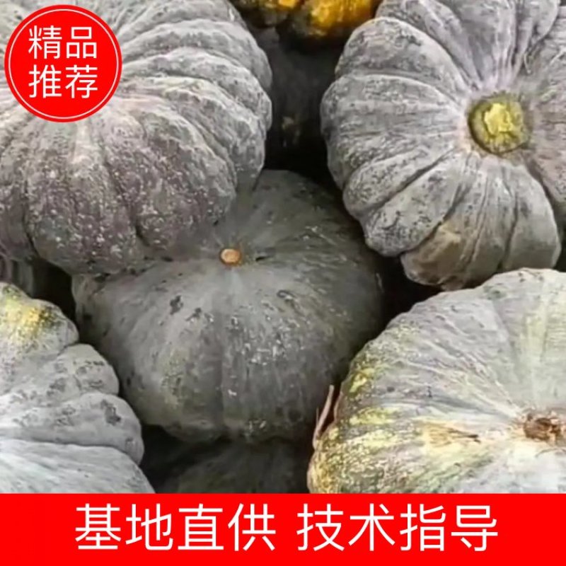 赖可丽南瓜，产地直销，货量充足，量大从优，欢迎选购