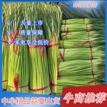 精品红帽蒜苔，商超品质，一手货源，产地直发，冷库储存。