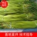干苔，不泡水，白帽、红帽净杆60-70公分，欢迎老板采购