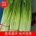 干苔、不泡水，净杆60-70公分，红帽、白帽蒜薹大量上市