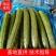 蜜刺黄瓜大量供货，条直油亮，一手货源，基地直供。