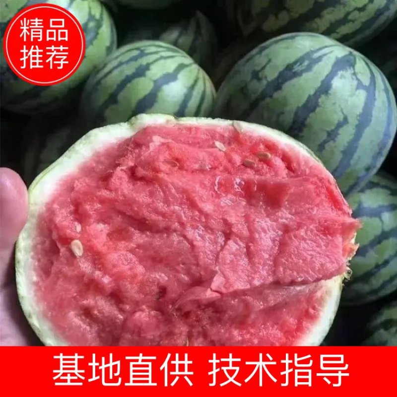 【美都西瓜】正宗超甜西瓜薄皮大量上市货源充足价格美丽