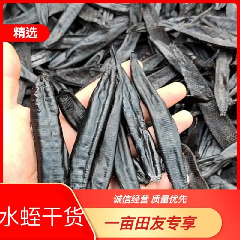 吸血水蛭干品，菲牛蛭干品，量大价优，支持看货