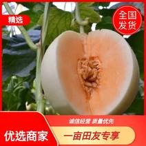 【优选商家】东方蜜1号甜瓜已大量上市，优质货源产地直发