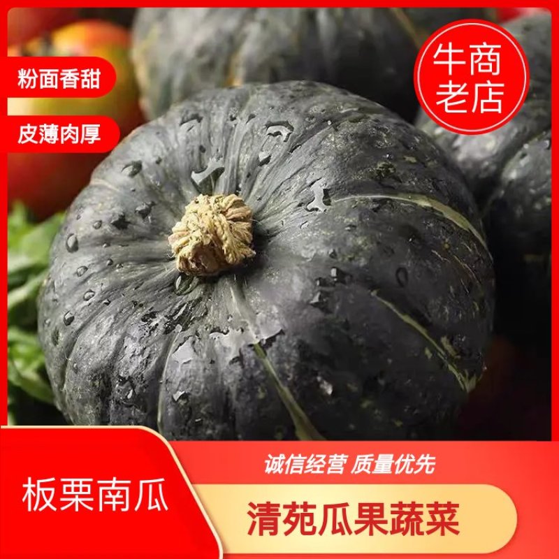 【荐】河北精品板栗南瓜粉面香甜供应市场商超社区团购