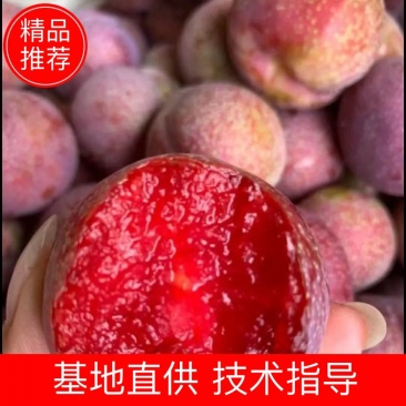 三华李子