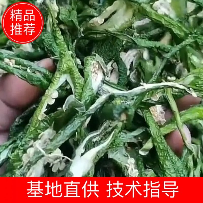 精选干绿辣椒皮青辣椒片青辣椒条绿辣椒条青椒丝厚皮