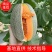 精品海南哈密瓜大量上市产地直销质量上乘全国发货