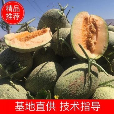 【包上车】海南皮薄肉厚甜度高现摘现装全国代发质好价优