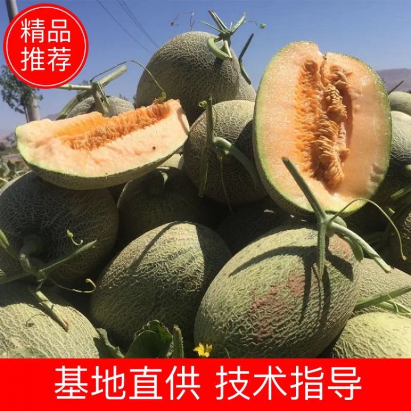 【包上车】海南皮薄肉厚甜度高现摘现装全国代发质好价优