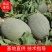海南【精选】哈密瓜皮薄肉厚质好价优大量现货代发全国