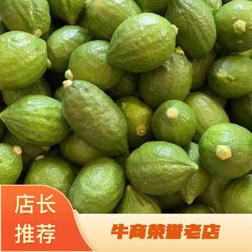 广东无籽香水柠檬大量供应质量保证批发优先