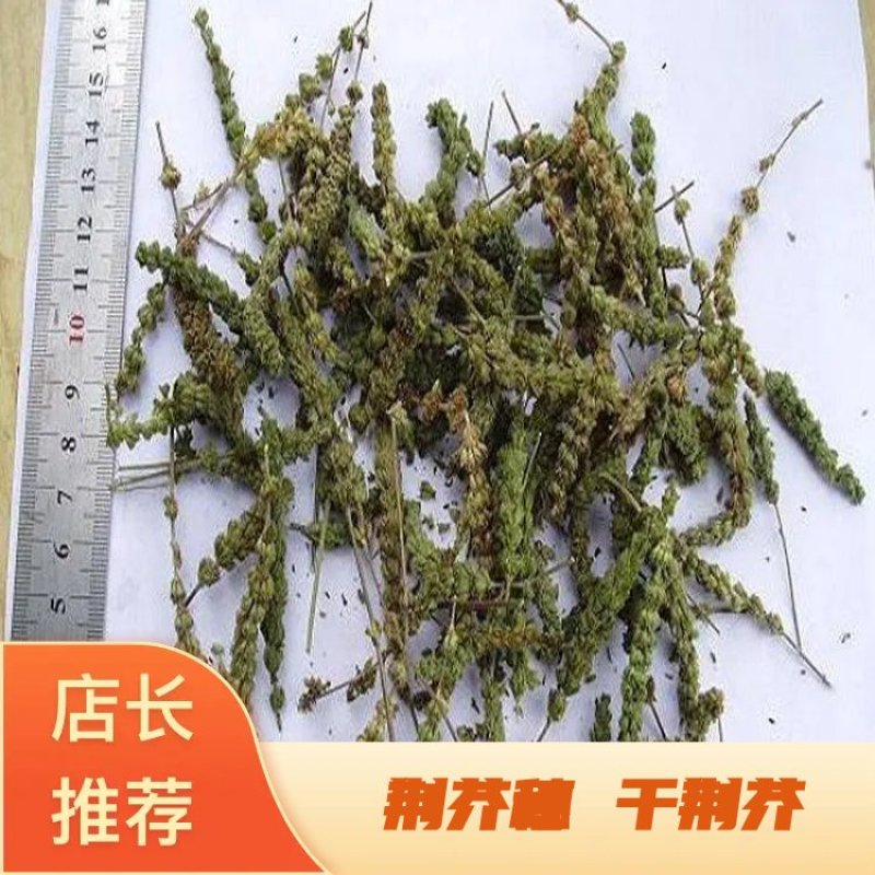 荆芥穗，新货大穗，干荆芥，荆芥1000克包邮安国发货。