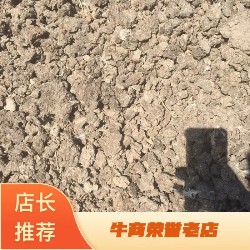 有机肥鸡粪羊粪肉鸡粪厂家直销欢迎订购