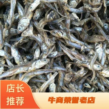 饲料鱼干小杂鱼自然晒干小白鱼皮皮虾螃蟹等