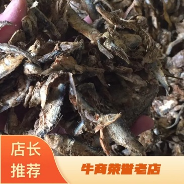 优质鱼干小杂鱼饲料鱼自然晾干质美价廉