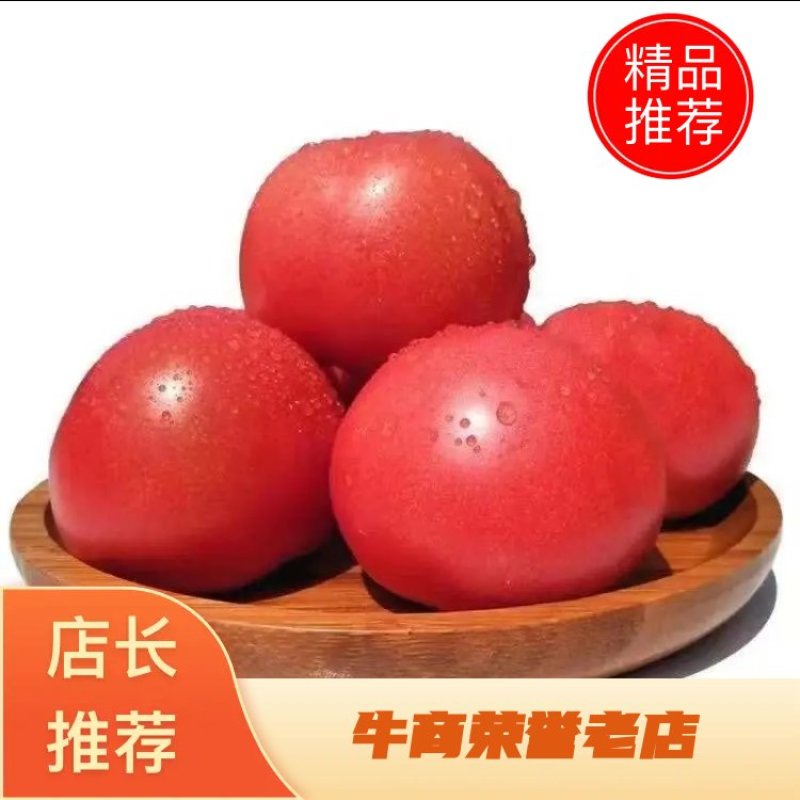【商超市场货】山东西红柿专业代办全国发货一首货源