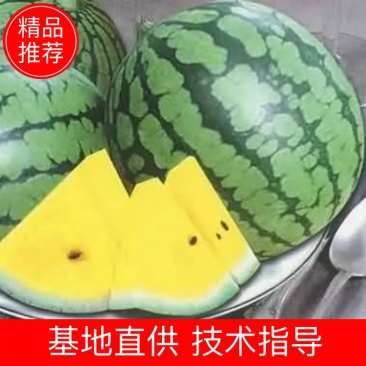 农友小兰西瓜，个头均匀，产地直发，二斤半打底9成熟头茬