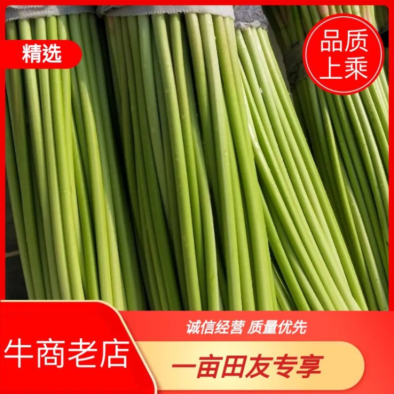 蒜苔，鲜货，电商，超市，市场，代发全国各地，