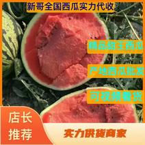 【头茬甜王西瓜】甜王西瓜大量上市中，陕西产地一手货源