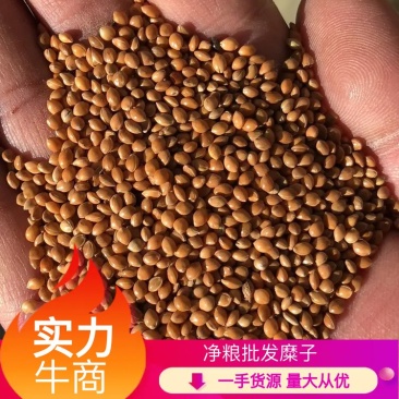糜子精选净粮批发糜子糯米大黄米保质保量量大更优！