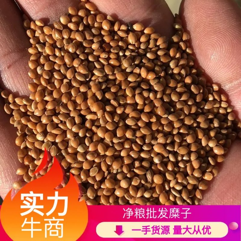 糜子精选净粮批发糜子糯米大黄米保质保量量大更优！