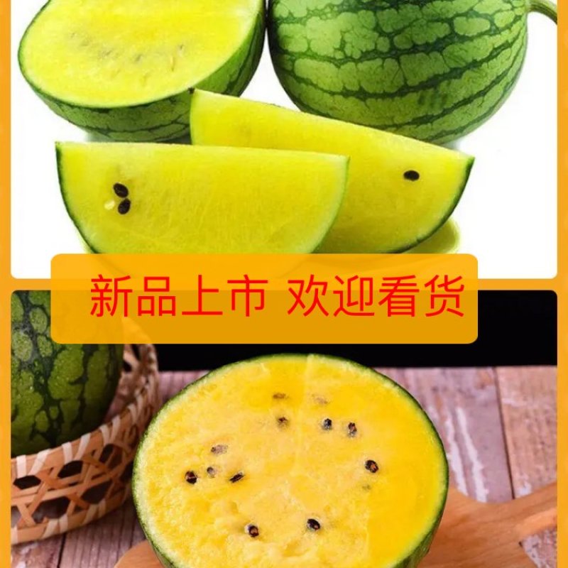 西瓜水果仁风富硒小兰新鲜黄瓤脆甜，产地直销全国发货