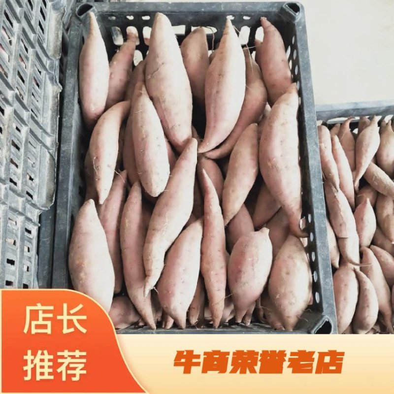 密薯西瓜红，产地直供，支持全国代发，保质保量。