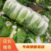 优质黄心大白菜，大量供货，菜农精选采摘，保质保量发货