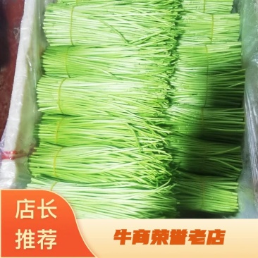 康寿农业，专业芦蒿
