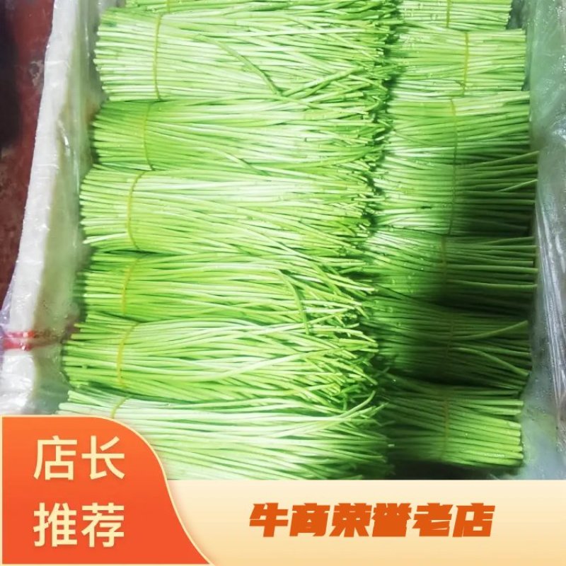 康寿农业，专业芦蒿