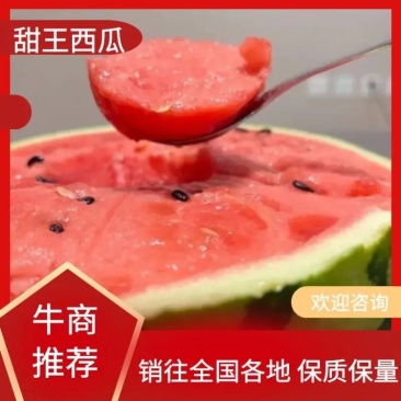 甜王西瓜，基地直供，大量上市，欢迎咨询下单