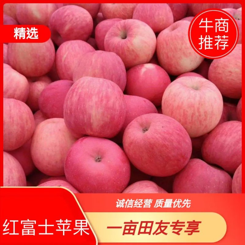 【精品苹果】富士苹果基地直供一手货源品质保证诚信经营