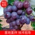 玫瑰香葡萄苗供应全国保品种量大优惠可提供技术指导