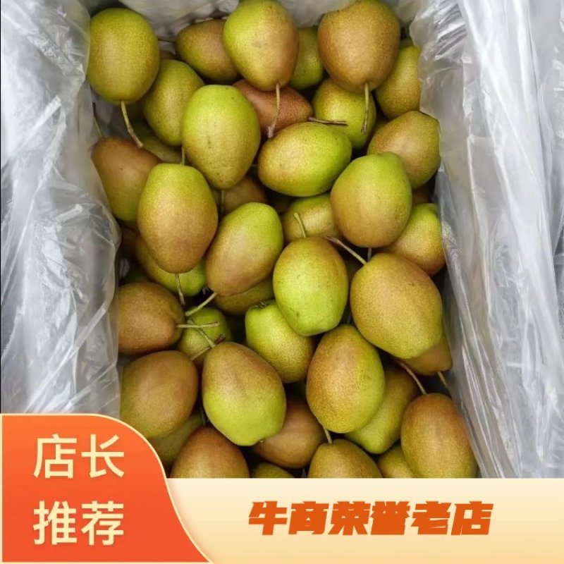 赵县水晶梨大量上市，有需要的客商联系。量大从优！！！